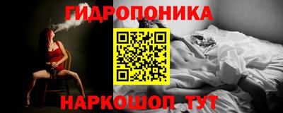 ешки Камышлов