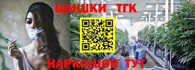 ешки Камышлов