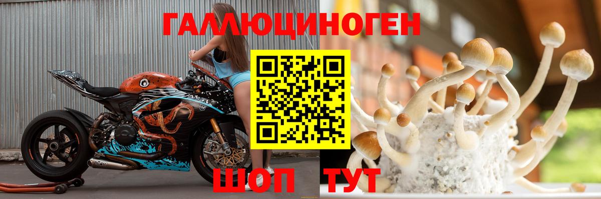 Еманжелинск  Псилоцибиновые грибы Psilocybe  Вход с VPN 